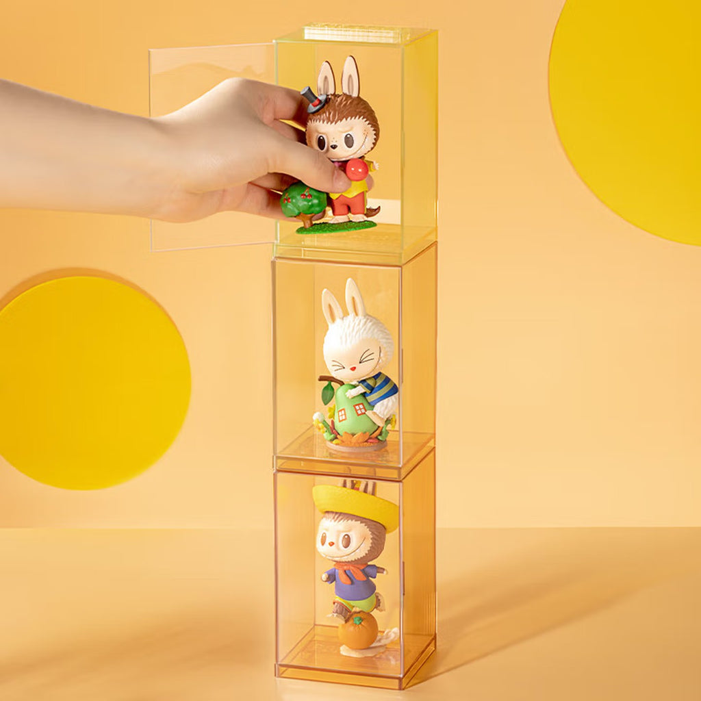 POP MART POP Individual Display Box